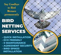 1-bird-netting-service-.webp