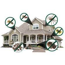 1-household-pest-control-.webp