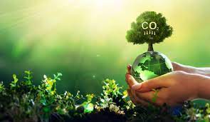 1-reduce-carbon-footprint-.webp