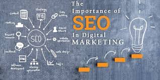 SEO Digital Coaching  Institute