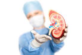 kidney transplantation