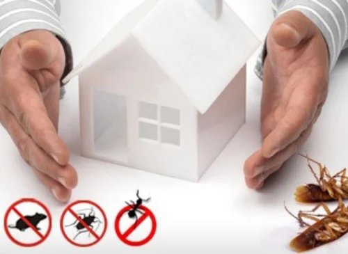 Household Pest Control