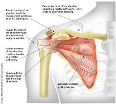 Shoulder Injuries