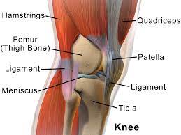 Knee Injuries