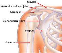 Shoulder Injuries