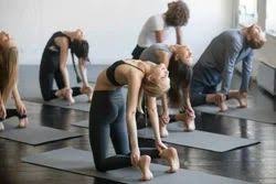 20Days Unisex Personal Yoga Classes